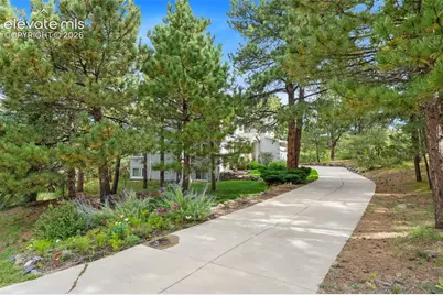 1380 Old Antlers Way, Monument, CO 80132 - Photo 9