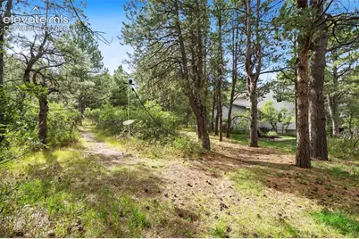 1380 Old Antlers Way, Monument, CO 80132 - Photo 47