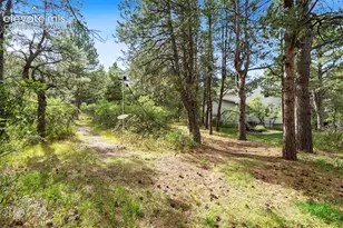 1380 Old Antlers Way, Monument, CO 80132 - Photo 47