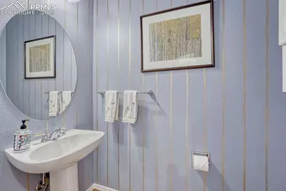745 Platt Lane, Palmer Lake, CO 80133 - Photo 33