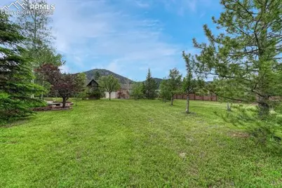 745 Platt Lane, Palmer Lake, CO 80133 - Photo 43