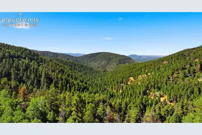 13488 S Firedog Way, Larkspur, CO 80118 - Photo 11