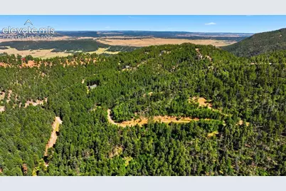13488 S Firedog Way, Larkspur, CO 80118 - Photo 3