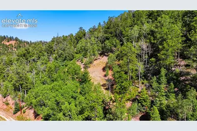 13488 S Firedog Way, Larkspur, CO 80118 - Photo 7