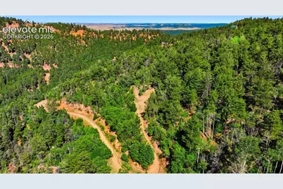 13488 S Firedog Way, Larkspur, CO 80118 - Photo 9