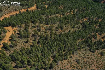 29545 Highway 67, Woodland Park, CO 80863 - Photo 37