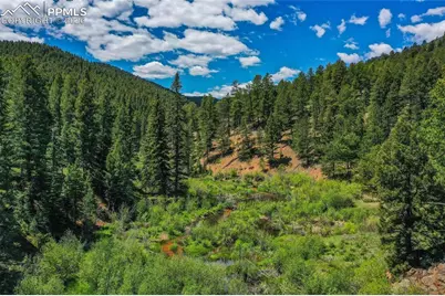 29545 Highway 67, Woodland Park, CO 80863 - Photo 29