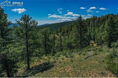29545 Highway 67, Woodland Park, CO 80863 - Photo 21