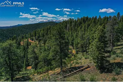 29545 Highway 67, Woodland Park, CO 80863 - Photo 25