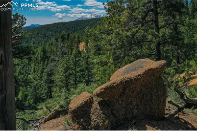 29545 Highway 67, Woodland Park, CO 80863 - Photo 11