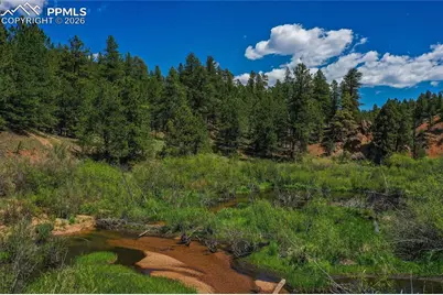 29545 Highway 67, Woodland Park, CO 80863 - Photo 5