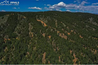 29545 Highway 67, Woodland Park, CO 80863 - Photo 41