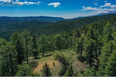 29545 Highway 67, Woodland Park, CO 80863 - Photo 23