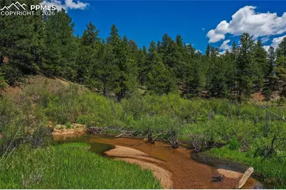 29545 Highway 67, Woodland Park, CO 80863 - Photo 7