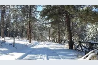 29545 Highway 67, Woodland Park, CO 80863 - Photo 31