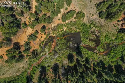 29545 Highway 67, Woodland Park, CO 80863 - Photo 3