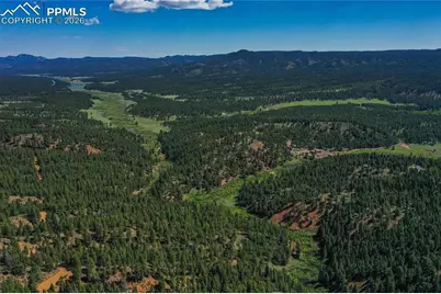 29545 Highway 67, Woodland Park, CO 80863 - Photo 39