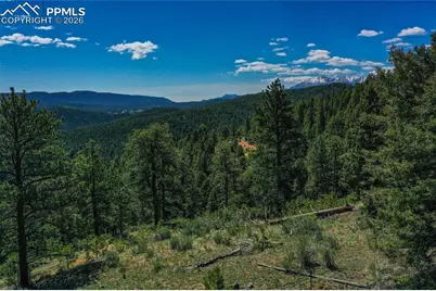 29545 Highway 67, Woodland Park, CO 80863 - Photo 19