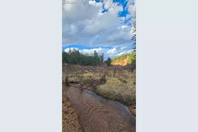 29545 Highway 67, Woodland Park, CO 80863 - Photo 9