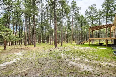 8750 Tannenbaum Road, Colorado Springs, CO 80908 - Photo 39