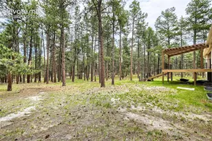 8750 Tannenbaum Rd, Colorado Springs, CO 80908 - Photo 39