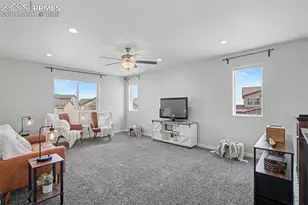10105 Thrive Ln, Colorado Springs, CO 80924 - Photo 19