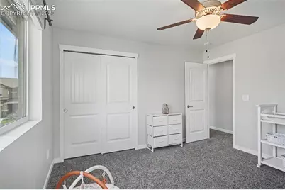 10105 Thrive Lane, Colorado Springs, CO 80924 - Photo 33
