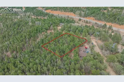 881 Timber Ridge Road, Divide, CO 80814 - Photo 7