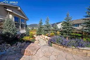 15794 Blue Pearl Ct, Monument, CO 80132 - Photo 5