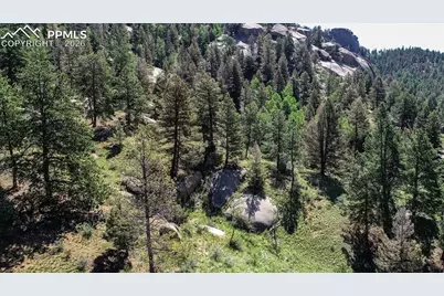 235 Hay Creek Road, Florissant, CO 80816 - Photo 13