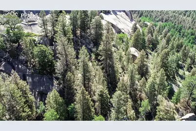 235 Hay Creek Road, Florissant, CO 80816 - Photo 15