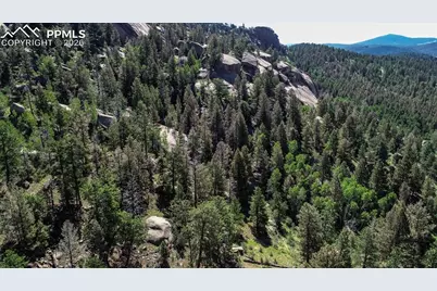 235 Hay Creek Road, Florissant, CO 80816 - Photo 11