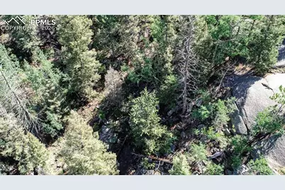 235 Hay Creek Road, Florissant, CO 80816 - Photo 17