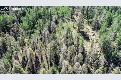 235 Hay Creek Road, Florissant, CO 80816 - Photo 7