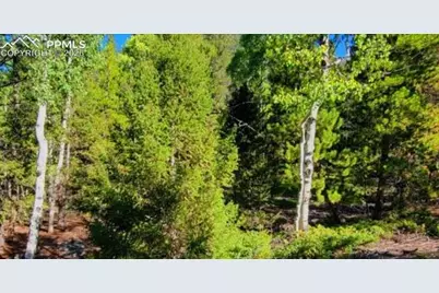 765.2A, Almont, CO 81210 - Photo 3