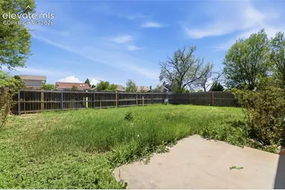 838 Daffodil Street, Fountain, CO 80817 - Photo 25