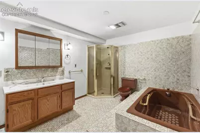 838 Daffodil Street, Fountain, CO 80817 - Photo 21