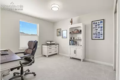 17687 Lemon Rye Loop, Monument, CO 80132 - Photo 23