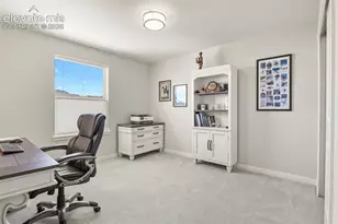 17687 Lemon Rye Loop, Monument, CO 80132 - Photo 23
