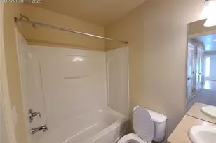 932 Burning Bush Point, Monument, CO 80132 - Photo 19