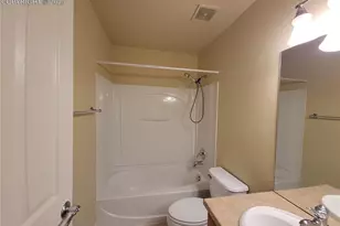 932 Burning Bush Point, Monument, CO 80132 - Photo 13