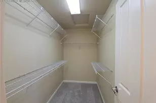 932 Burning Bush Point, Monument, CO 80132 - Photo 13