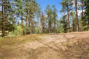 410 Rangeview Rd, Divide, CO 80814 - Photo 19