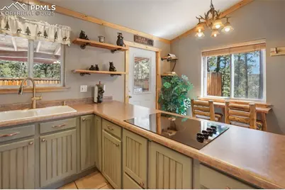 31 Handcart Circle, Florissant, CO 80816 - Photo 15