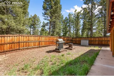 31 Handcart Circle, Florissant, CO 80816 - Photo 25