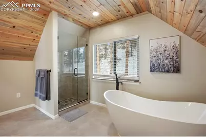 5100 County Road 1, Cripple Creek, CO 80813 - Photo 17