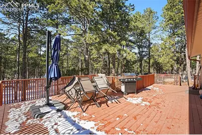 8265 Tannenbaum Road, Colorado Springs, CO 80908 - Photo 25