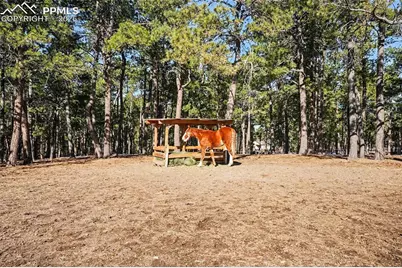 8265 Tannenbaum Road, Colorado Springs, CO 80908 - Photo 37
