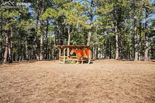 8265 Tannenbaum Rd, Colorado Springs, CO 80908 - Photo 37