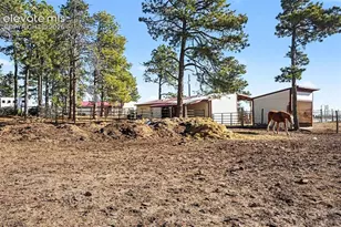 8265 Tannenbaum Rd, Colorado Springs, CO 80908 - Photo 43